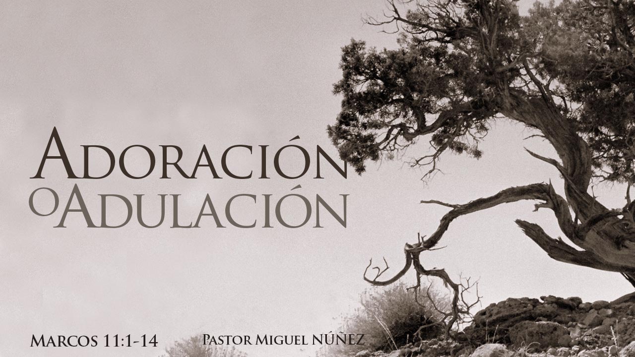 Sermon
