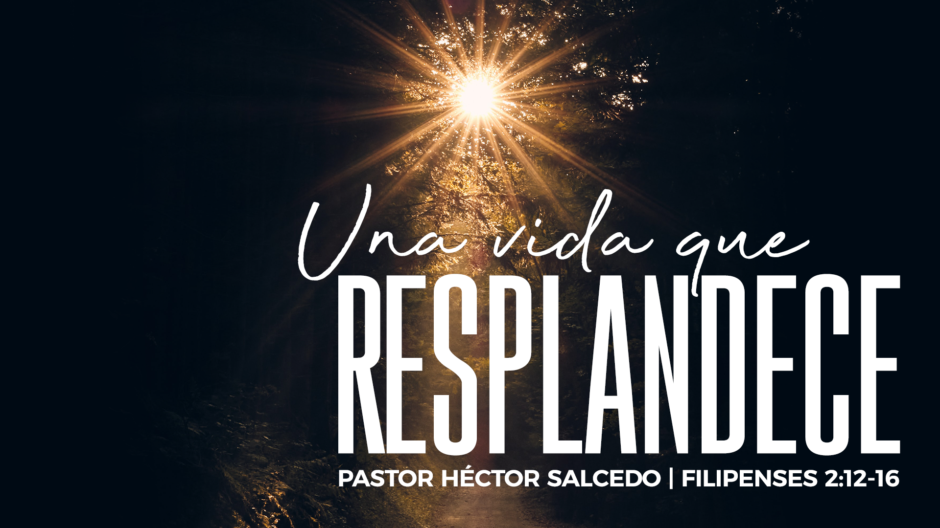 Sermon