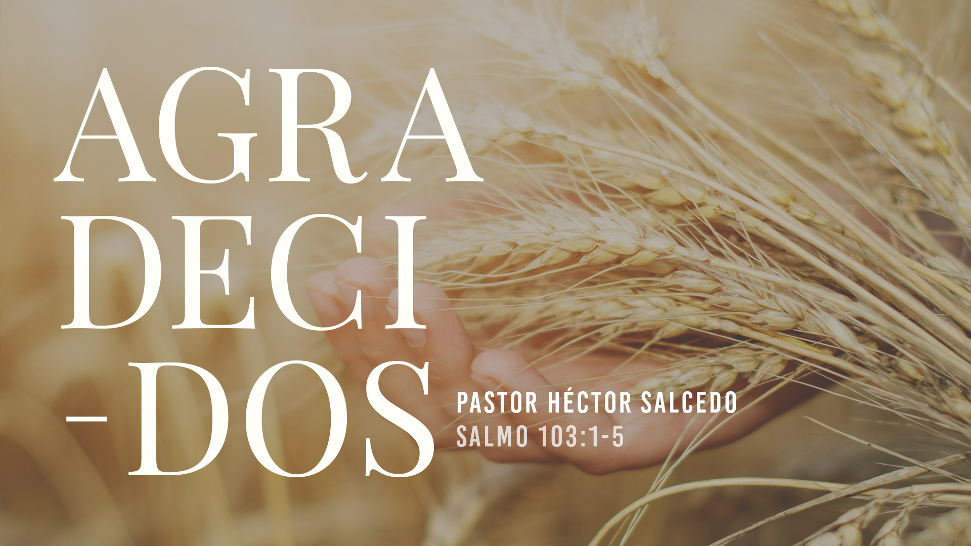 Sermon