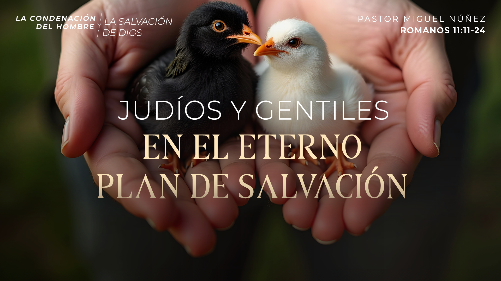 Sermon